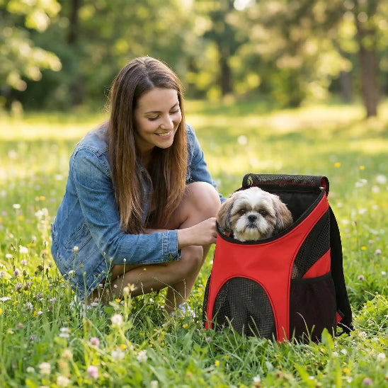 femme accroupie herbe shih tzu dans sac a dos chien