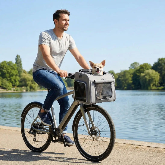 homme fait velo chihuahua dans sac à dos chien gris