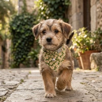 balade chiot terrier avec bandana pour chien fleuri vert