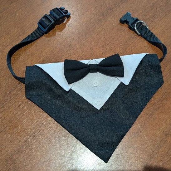 bandana pour chien type smoking sur table