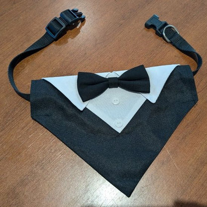 bandana pour chien type smoking sur table