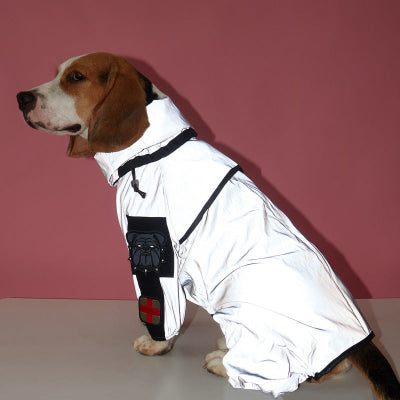 beagle assis avec imperméable pour chien reflechissant