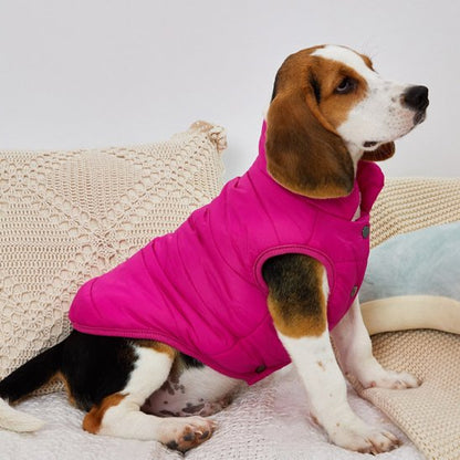 beagle assis de profil avec manteau chien rose