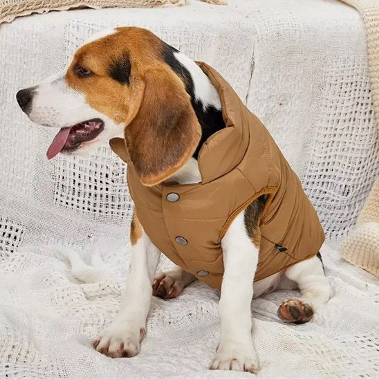 beagle assis porte manteau chien couleur cafe