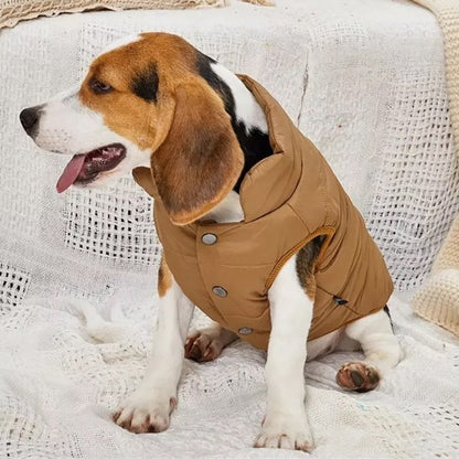 beagle assis porte manteau chien couleur cafe