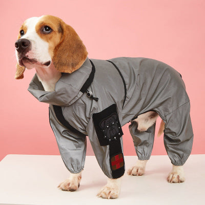 beagle debout avec imperméable pour chien gris