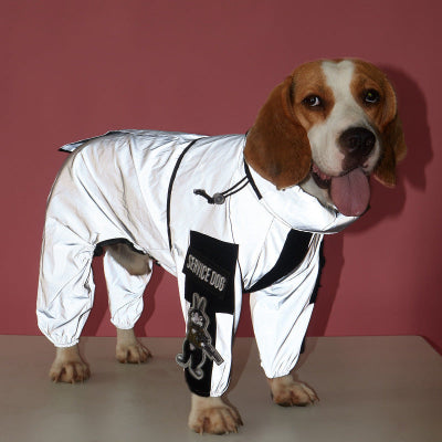 beagle debout avec impermeable reflechissant
