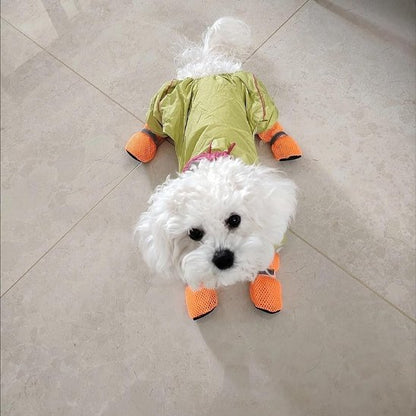 bichon allongé carrelage avec vêtement et chaussures pour chien orange