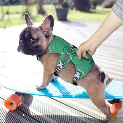 bouledogue avec harnais chien vert sur skateboard