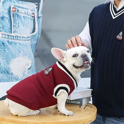 bouledogue francais assis de profil avec pull pour chien bordeaux