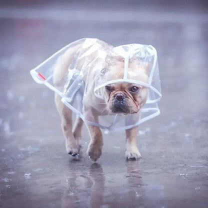 bouledogue francais marche sous pluie avec imperméable chien
