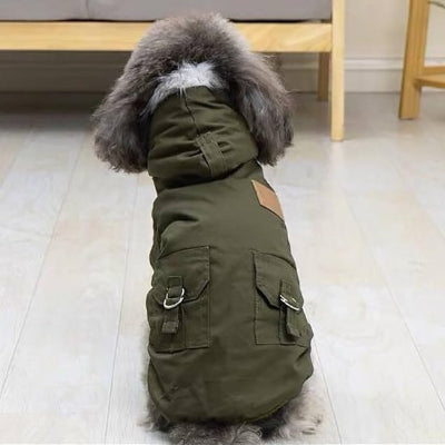 caniche assis de dos avec manteau pour chien vert militaire