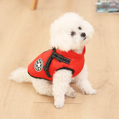 caniche blanc assis parquet avec manteau pour chien rouge