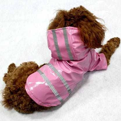 caniche marron allonge avec manteau pour chien rose
