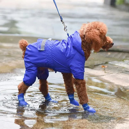 caniche marron marchant flaques avec bottes chien bleu imperméables