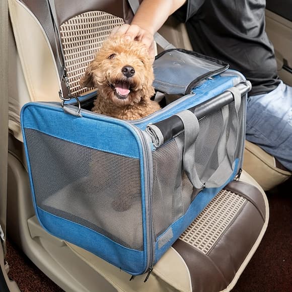 caniche sac pour transport chien sur siège voiture