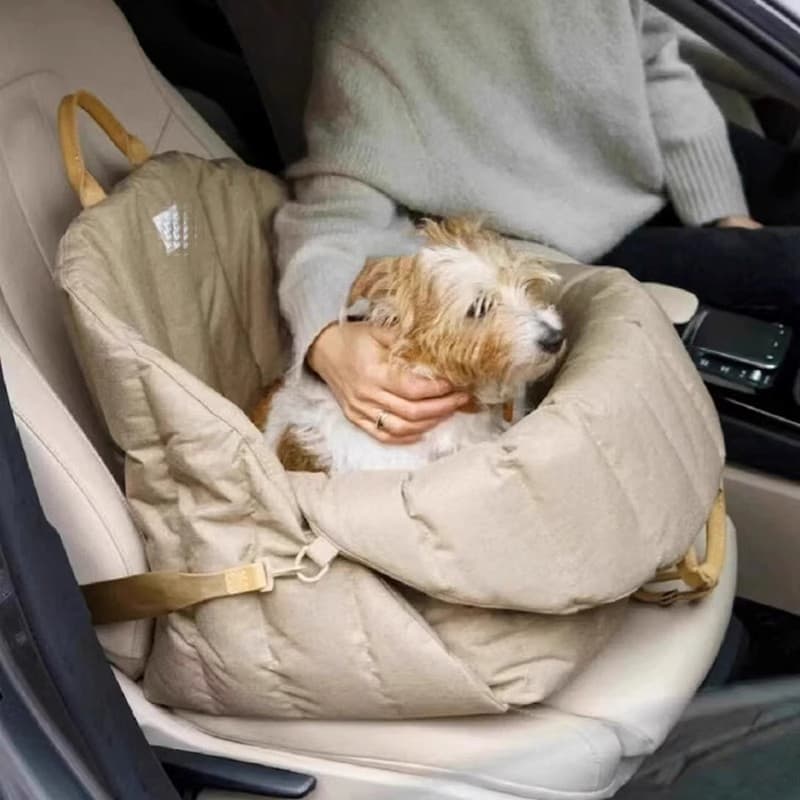 chien allongé dans sac transport chien sur siège voiture