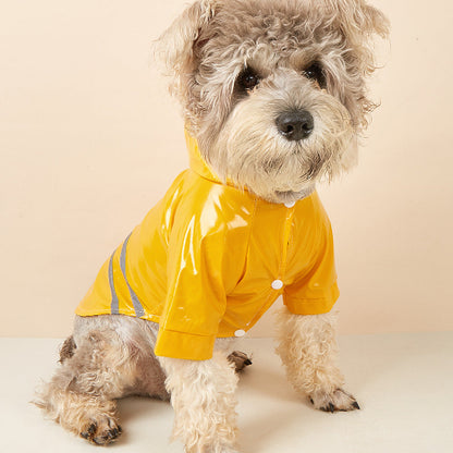 chien assis avec manteau pour chien jaune