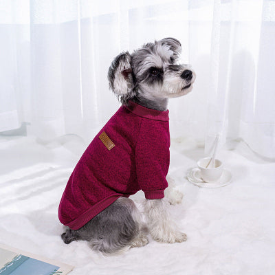 chien assis avec pull chien bordeaux