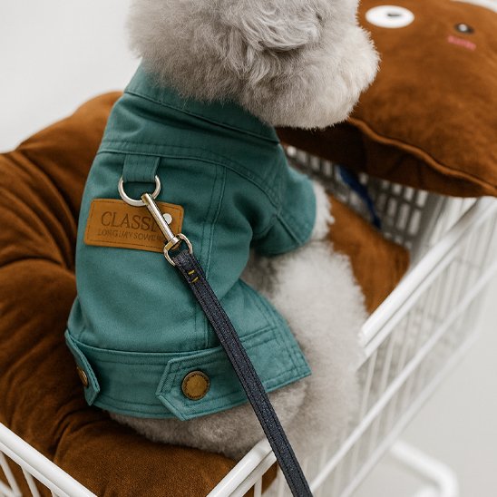 chien assis dans chariot avec manteau chien vert fonce