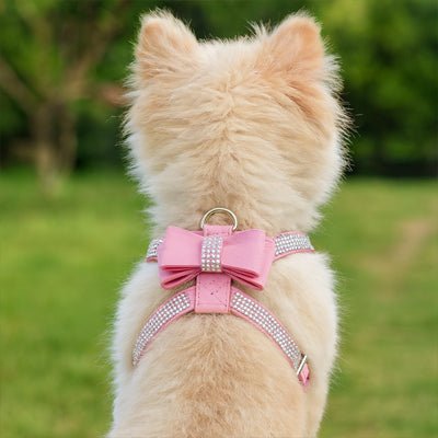 chien assis de dos avec harnais pour petit chien rose