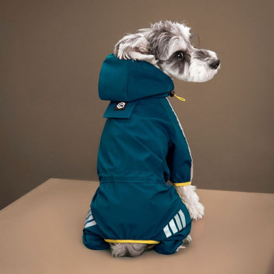 chien assis de dos avec manteau pour chien bleu