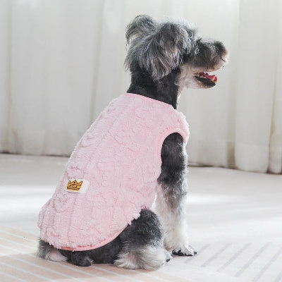 chien assis de dos avec pull chien rose