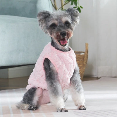 chien assis de face avec pull chien rose