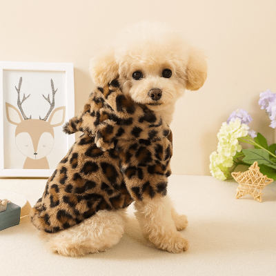 chien assis de profil avec manteau chien leopard brun