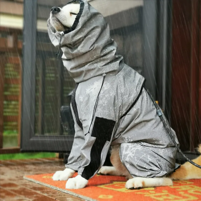 chien assis sous pluie avec imperméable pour chien