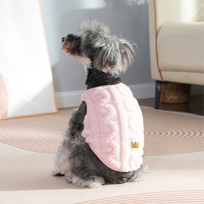 chien assis sur tapis portant pull chien rose 
