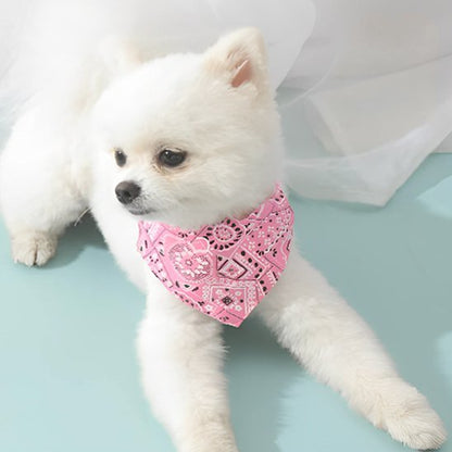 chien blanc allonge avec bandana chien rose