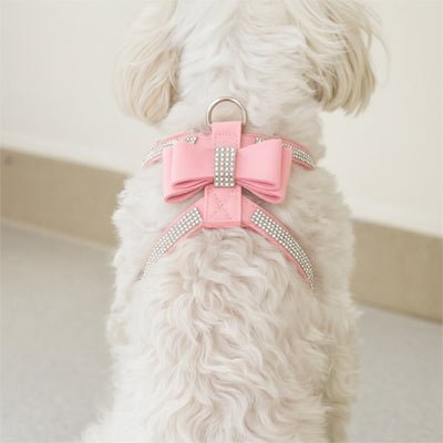 chien blanc assis de dos harnais pour petit chien rose
