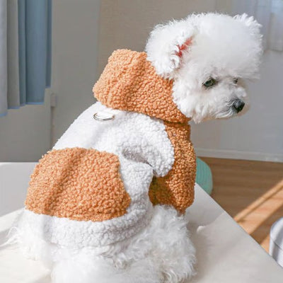 chien blanc assis de dos portant pull chien caramel