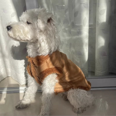 chien blanc assis de profil avec manteau chien marron