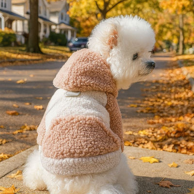 chien blanc assis devant maison portant pull chien rose automne