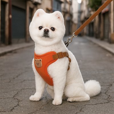 chien blanc assis harnais pour petit chien rouge