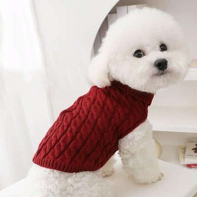 chien blanc assis qui porte pull pour chien rouge