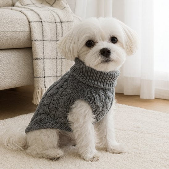 chien blanc assis sur tapis avec pull pour chien gris