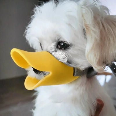 chien blanc avec muselière jaune bec de canard