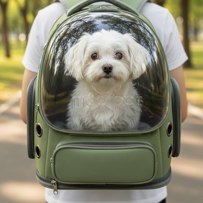 chien blanc dans sac a dos pour chien capsule vert