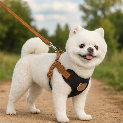 chien blanc debout avec harnais pour petit chien noir