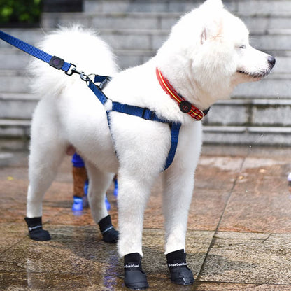 chien blanc marchant avec bottes chien noir sur sol mouillé