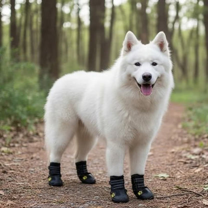 chien blanc portant chaussure chien imperméable dans forêt