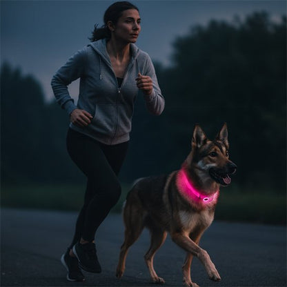 chien court avec maitresse collier lumineux pour chien rose