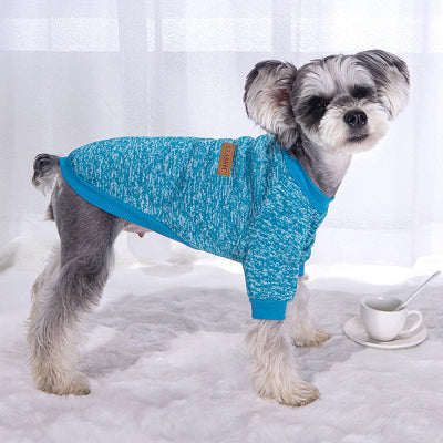 chien debout avec pull chien bleu ciel