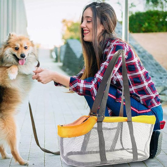 chien et femme avec sac de transport chien maille respirante