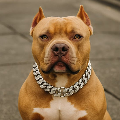 chien marron assis avec collier pour chien argente
