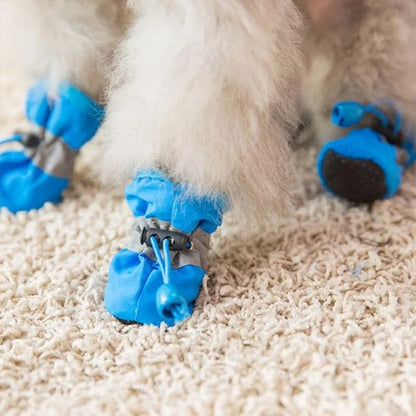 chien portant chaussure chiens bleu antidérapante