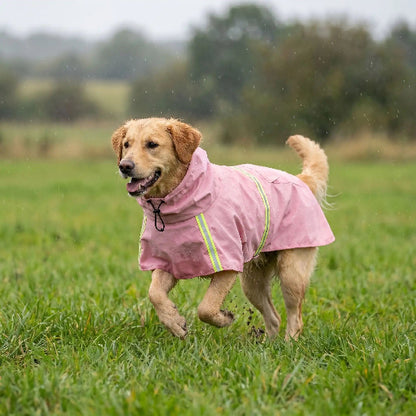 chien portant imperméable pour chien rose court herbe pluie